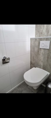 356 toilet.jpg