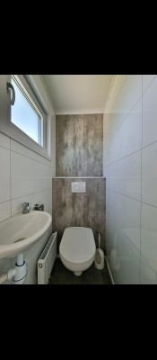 217 toilet.jpg