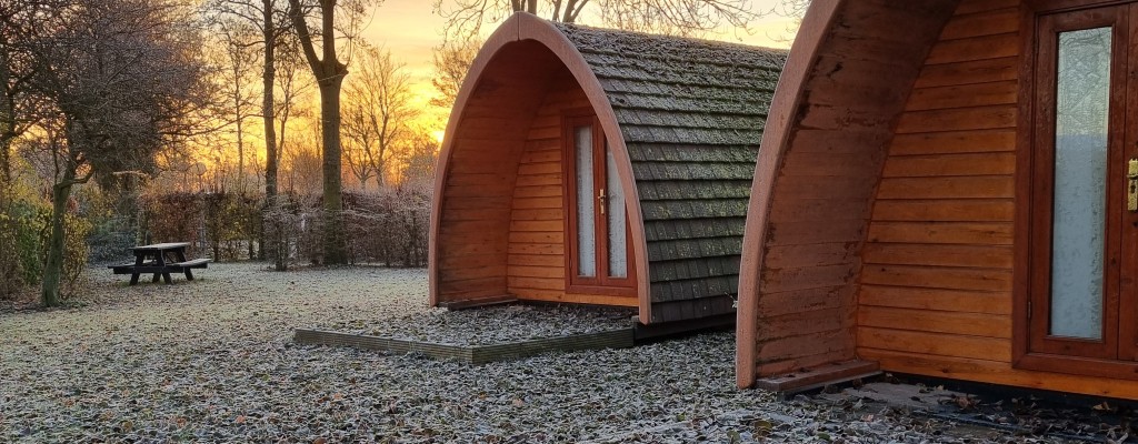 Winter - Pods.jpg
