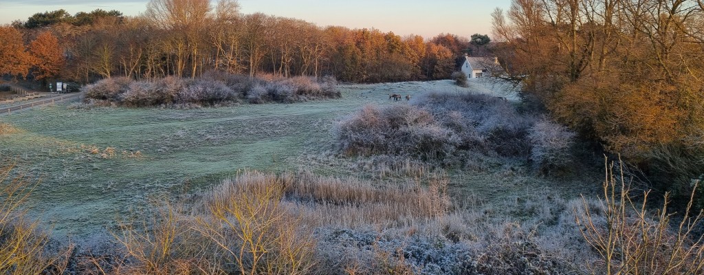 Winter - uit toren noord.jpg
