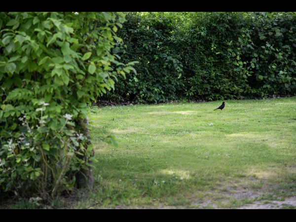 Kampeerveld algemeen