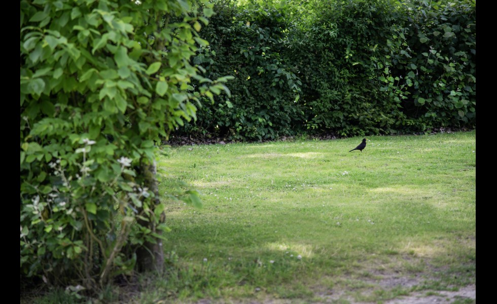 Kampeerveld algemeen