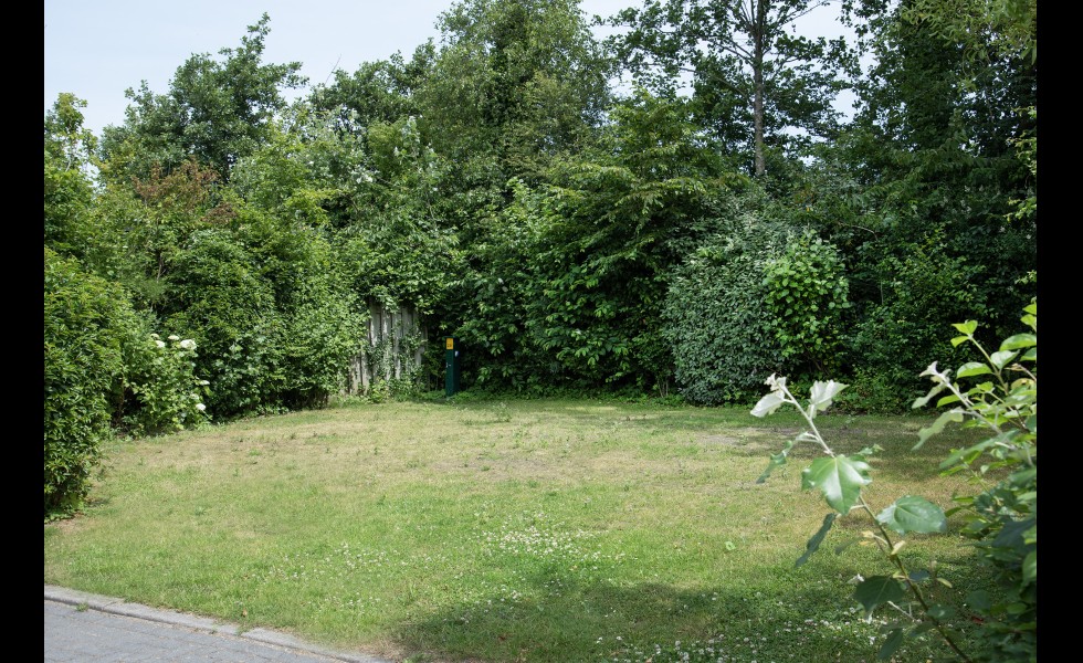 Kampeerveld 231