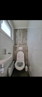259 toilet.jpg