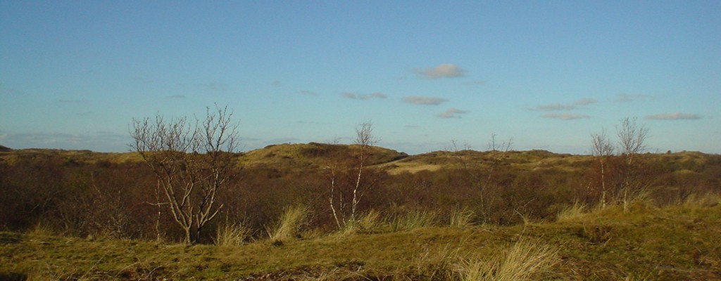 DSC00946.JPG