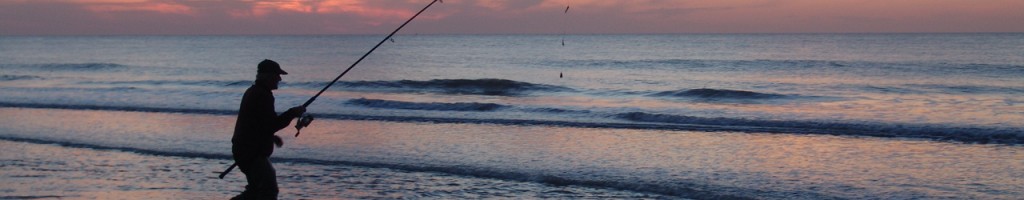 DSC02332.JPG