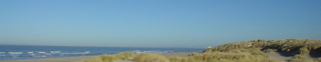 DSC02056.JPG