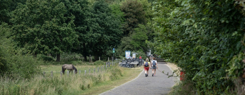 Oranjezon.jpg